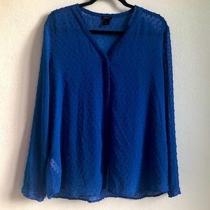 Ann Taylor Blue embroidered blouse